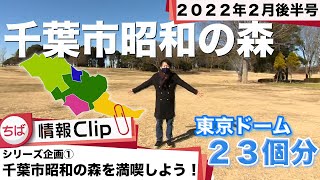 【昭和の森特集①】ちば情報Clip2022年2月後半号