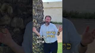 ההבדל בין רשעים לצדיקים