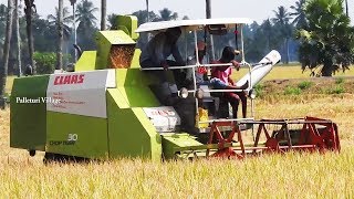 CLAAS Harvester | CROP TIGER 30 TERRA TRAC Working In Rice Field / Palleturi Village