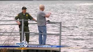 LaPorte man says he saw alligator in Pine Lake
