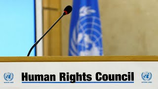 UN Human Rights Council backs investigation into U.S. police brutality and racial discrimination