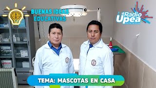 TEMA: MASCOTAS EN CASA