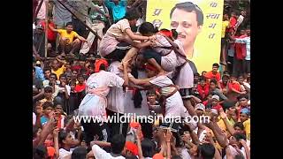 Krishna Janmashtami human pyramid to break the dahi handi : Mumbai throwback video