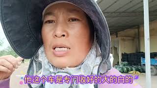 山东媳妇和老公卖完菜吃牛肉面，龙哥一碗面没吃饱再加一个馍馍