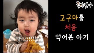 [육아남뉴] 태어나서 처음 고구마 먹어보는 아기 냠!!!!!! Baby`s first time having a sweet potato