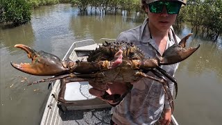 Catching Big Mud Crab