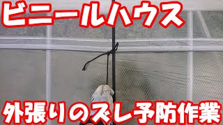 袋留め～ハウスのビニールをズレさせないための作業。施設園芸