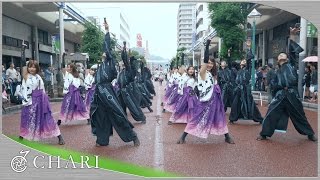 【4K】百物語｜電脳遊戯（湘南よさこい2016）