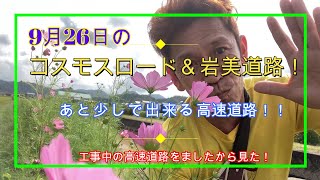 岩美町！移住！コスモスロードの開花情報＆岩美道路建設情報！　鳥取県岩美町に移住した民宿オーナーのお話