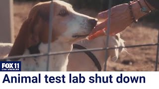 Testing lab shut down, 200 animals rescued