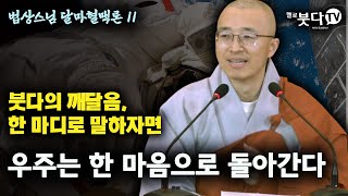 붓다의 깨달음 한 마디로 말하자면 우주는 한 마음으로 돌아간다 | 마음공부 우주 존재 실상 진리 인생 조언 깨달음 말씀 설법 법문 | 법상스님의 행복한 마음공부 달마혈맥론 11회