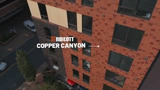 Endicott Brick — "Copper Canyon"
