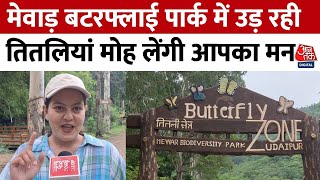 Rajasthan: Udaipur के Mewar Butterfly Park में उड़ रही हैं करीब 83 तरह की रंगीन तितलियां | Aaj Tak