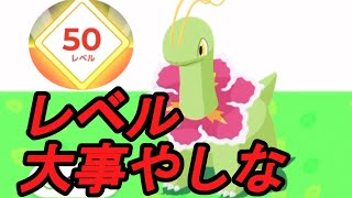 高ランクを取るための編成を考えるのが最近楽しい【ポケモンスリープ】