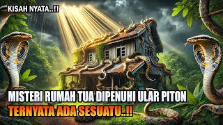 RUMAH TUA INI DIPENUHI PULUHAN ULAR PITON | TERNYATA ADA SESUATU YANG TERSEMBUNYI DI DALAM NYA‼️