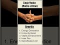 linga mudra benefits of linga mudra yogavibelife