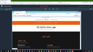 Exploratory Bug Hunt explained using Micro Focus StormRunner Functional (SRF)
