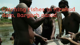 Fisherman catching fish with hand | bargarh canal | Indian fisherman #Rony Samad vlogger #