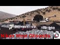 gilsonite depot in gilan e gharb