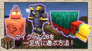 マイクラ1.20を一足先にプレイしちゃおう！追加される大量の新要素と、実験的機能の有効化方法を解説！【マイクラ】