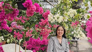 LẦN ĐẦU THẤY BÁN HOA GIẤY VIỆT NAM TẠI CHỢ TRỜI NẦY | NGÔI CHỢ CÓ TỪ 1933 | HÃY CÙNG LAN ĐI KHÁM PHÁ