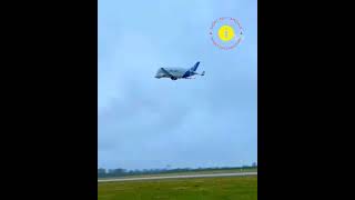 உலகின் மிகப்பெரிய சரக்கு விமானம் || AIRBUS BELUGA || WORLD BIGGEST CARGO FLIGHT ✈️