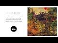 Camarão Orkestra - Canto De Iemanjá (Favorite Recordings) | Le Mellotron Premiere