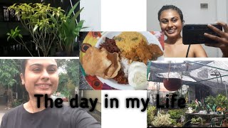 The day in my life