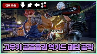 고우키 공중 용권 역가드 공략[TEKKEN 7]