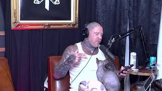 Live and Free with Jason Ellis