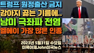 미국 파산 오늘 피하나? 법원 챗GPT Ai 이용 금지! 알파치토 50세 연하 여친과 아기! 4월 구인 건수 1000만건 돌파! 인플레 다시? 부동산 반등 시작?