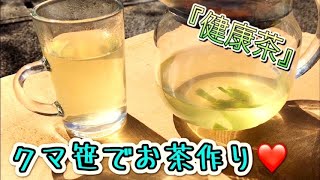 自然を食べる『お茶を作ろう！クマ笹編』栄養満点の健康茶！