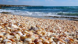 חוף ים הבונים   🏖   Habonim Beach Sounds of sea