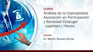 Análisis de la Copropiedad, Asociación en Participación y Sociedad Conyugal. Legalidad y Tributos