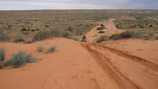 Forester climbing Simpson Desert dunes