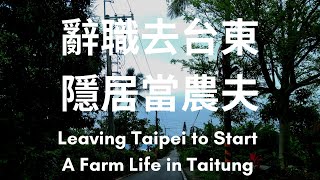 Farm Life in Eastern Taiwan - Chinese Conversation Intermediate - HSK 5 Listening