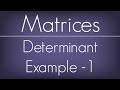 Determinant  Example - 1 / Matrices / Maths Algebra