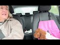 out and about in my car. peggy the cavapoo gets a new car seat