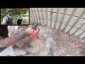 amazing full home renovation timelapse