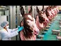 How Farming Millions Donkey for Milk,Meat in China - Donkey Meat Processing in Factory - Donkey Farm