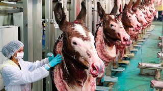 How Farming Millions Donkey for Milk,Meat in China - Donkey Meat Processing in F