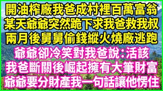 開油榨廠我爸成村裡百萬富翁，某天爺爺突然跪下求我爸救我叔，兩月後舅舅偷錢縱火燒廠逃跑，爺爺卻冷笑對我爸說：活該！我爸斷關後崛起擁有大筆財富，爺爺要分財產我一句話讓他愣住！#情感故事 #花開富貴