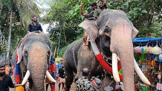 ഇത്തിത്താനം വിഷ്ണുനാരായണനും കൊളക്കാടൻ ശിവപ്രസാദും⚡ithithanam vishnunarayanan\u0026kollakkadan sivaprasadh