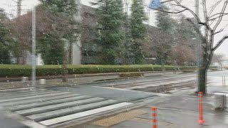 水戸市内で雪