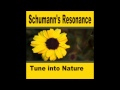 1 hr Schumann's Resonance Binaural Beats Session ~ Pure