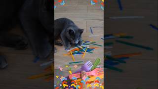 Cat vs Reverse : Cat Style!!🐾 #Shorts #Shortvideo #Viral #Viralvideo #Short