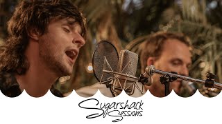 The Hails - Younger (Live Music) | Sugarshack Sessions