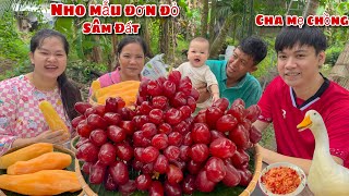 Cha Mẹ Chồng Lần Đậu Ăn Nho Mẫu Đơn Đỏ Khổng Lồ Củ Sâm Đất Chấm Muối Ớt Cay Hủ Tiếu Vui Mừng