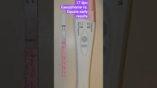 17 dpo live pregnancy test #baby #pregnancy #pregnancytest #pregnant #livepregnancytest #17dpo