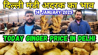 दिल्ली मंडी अदरक बाजार भाव | Wholesale Delhi Ginger market price | Today Ginger Price in Delhi